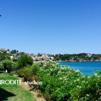 Aphrodite Studios Skiathos outdoor